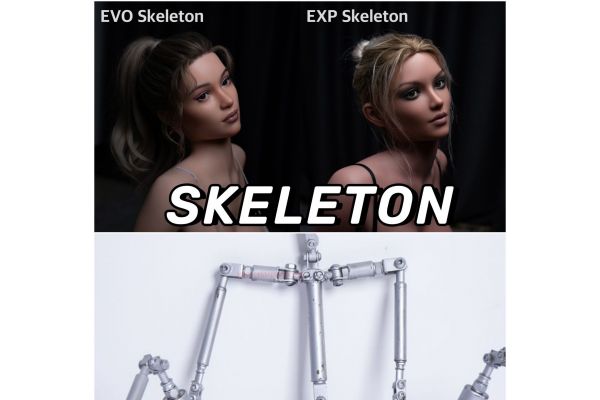 What The Difference Between EVO and EXP Sex Doll Skeletons